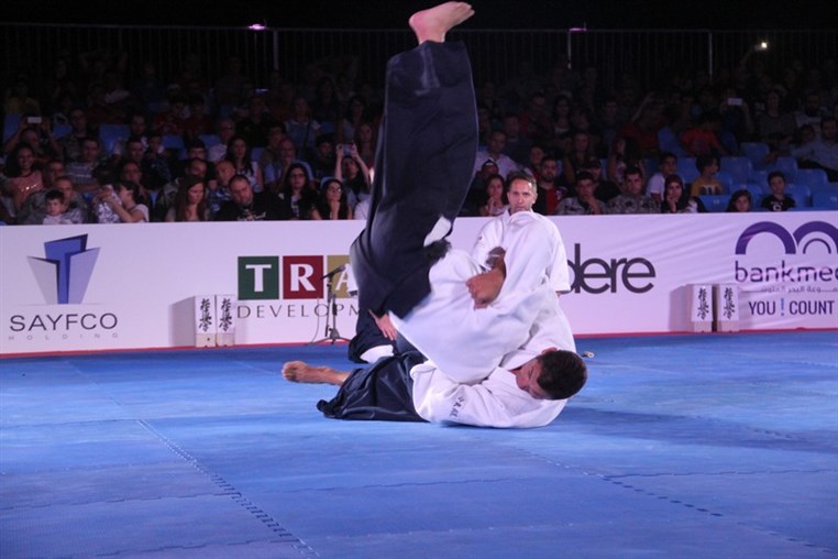 Martial Arts Festival
